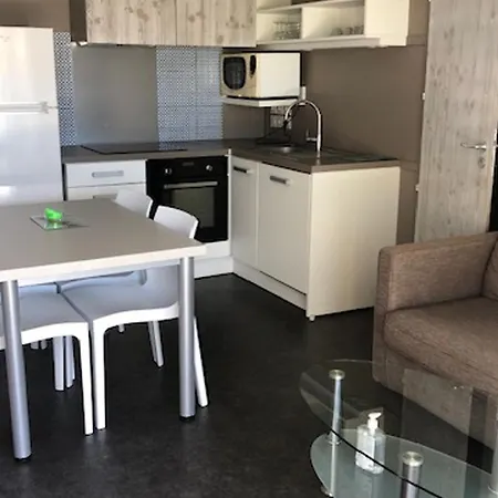 2 Au Calme Avec Terrasse, Piscine Chauffee Et Acces En Vendee - Fr-1-783-26 *